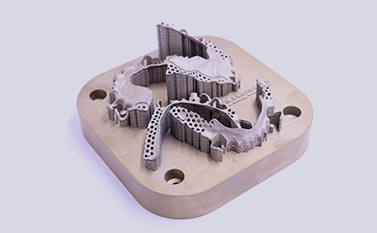 创世红海|官方下载