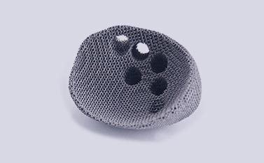 创世红海|官方下载