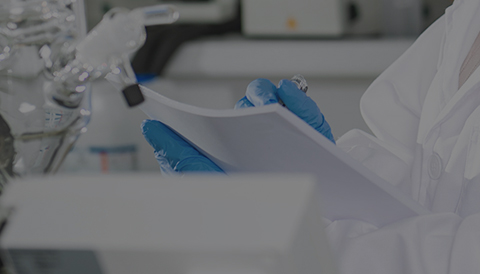 创世红海|官方下载