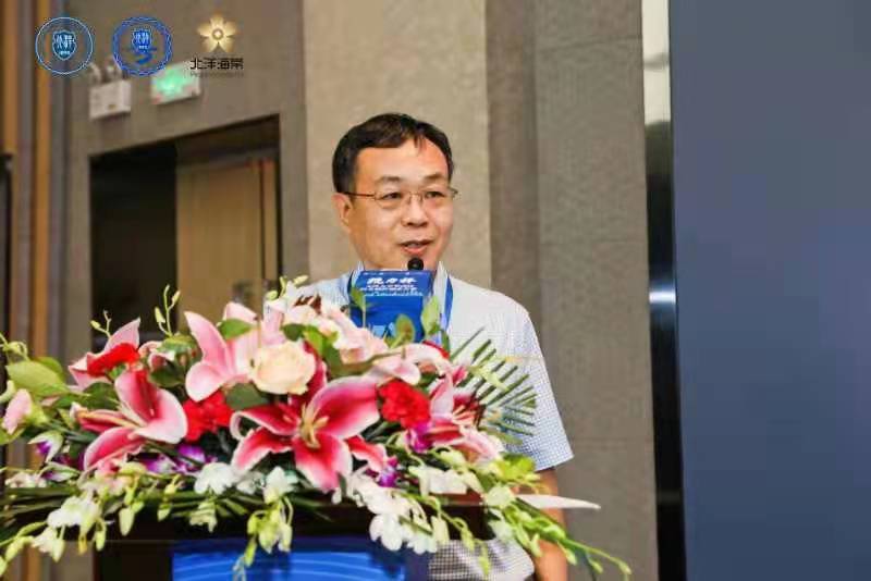 创世红海|官方下载