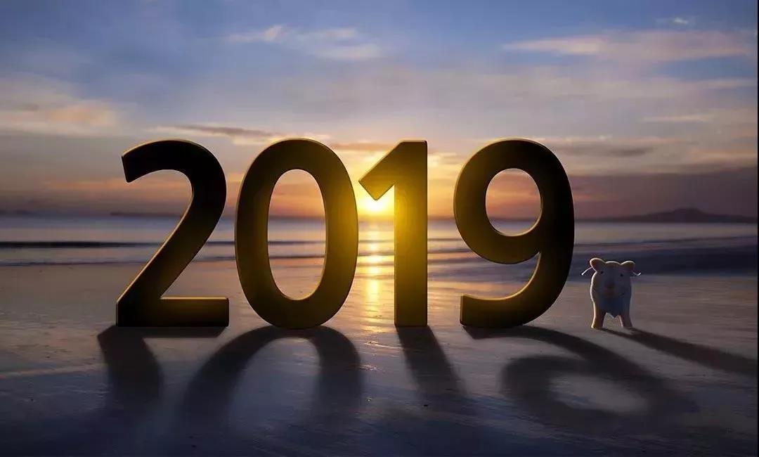 创世红海|官方下载